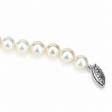 Detail of the fishhook clasp and adjacent pearls on the 8–9mm white semi-round Freshwater cultured pearl necklace; AI-assisted detail view based on the original photo.