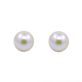 14K White Gold 8.5–9mm Round White Freshwater Cultured Pearl Stud Earrings