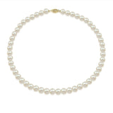 14K Yellow Gold 7–8mm White Freshwater Cultured Pearl Necklace, 17"