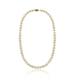 6.5–7mm Pink Freshwater Cultured Pearl Necklace, 18"