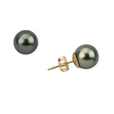 14K Yellow Gold 11–12mm Dark Grey Tahitian Cultured Pearl Stud Earrings