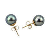 14K Yellow Gold 8.0-9.0mm Elegant Dark Grey Tahitian Cultured Pearl Stud Earrings - AAA Quality — product view 2
