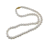 14K Yellow Gold AA 6.5-7.0mm White Akoya Cultured Pearl High Luster Necklace 18" with Stud Earrings Set